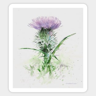 Scottish Thistle - version two Sticker